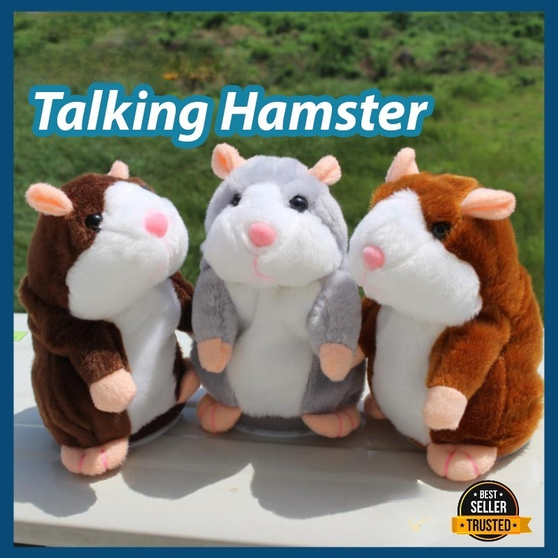 Cute Talking Hamster